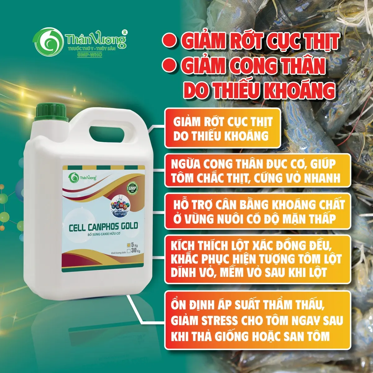 CELL CANPHOS GOLD — khoáng đa lượng cho lột xác đều, vỏ chắc, cơ thịt đầy