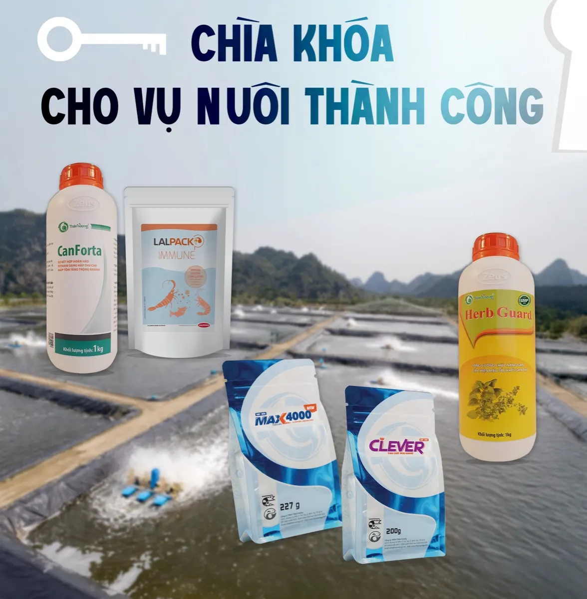 Chìa khóa vụ nuôi tôm thành công — 5 trụ cột không thể bỏ qua