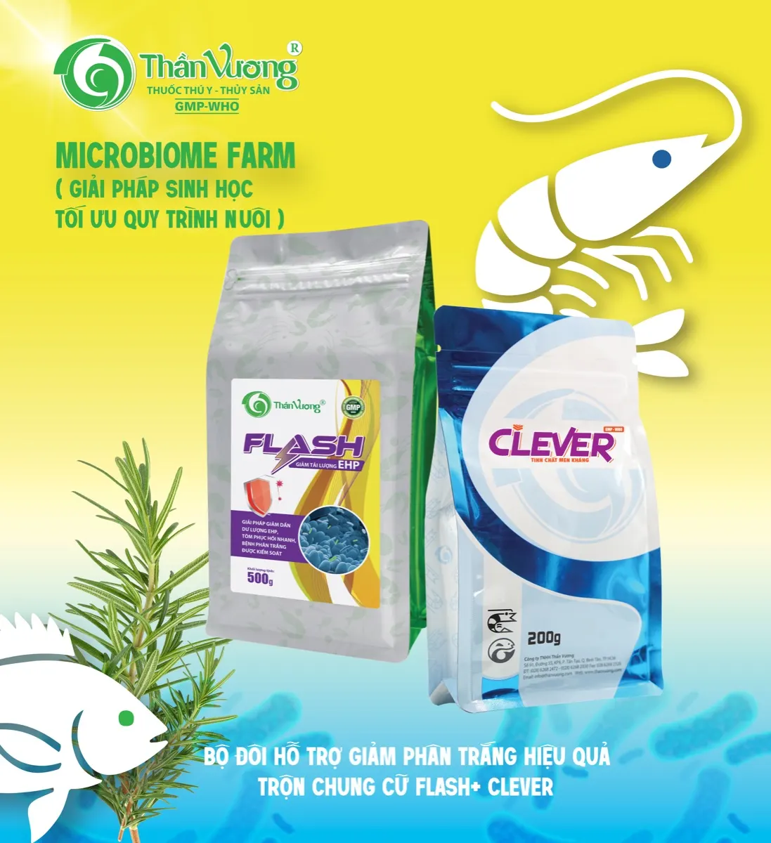 FLASH + CLEVER — bộ đôi sinh học thay thế kháng sinh trong nuôi tôm