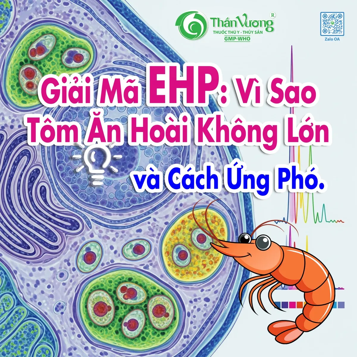 Giải mã EHP — vì sao tôm ăn hoài không lớn và phác đồ ứng phó