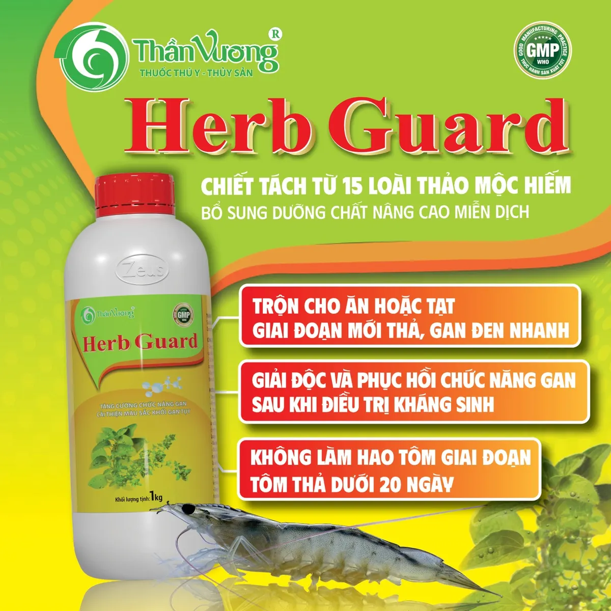 HERB GUARD — thảo dược phục hồi gan tụy chỉ sau 5 – 6 ngày