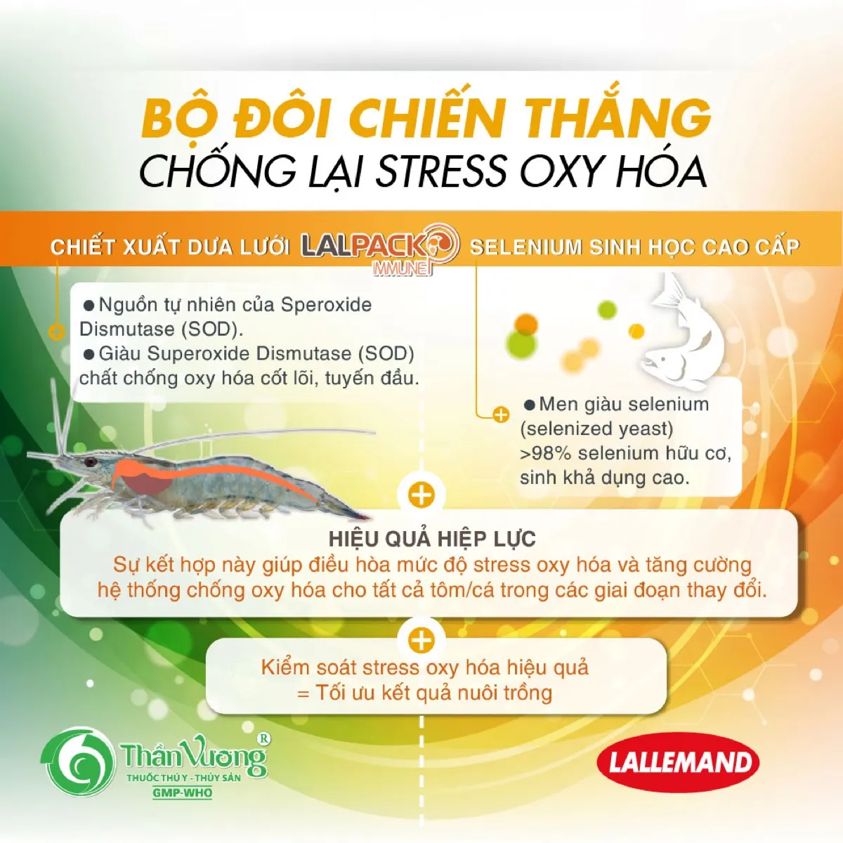LALPACK IMMUNE — bộ vi sinh + nấm men chống stress, tăng đề kháng cho tôm