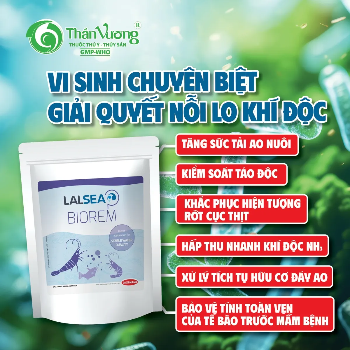 LALSEA BIOREM — vi sinh xử lý đáy ao chuẩn châu Âu cho tôm độ mặn cao
