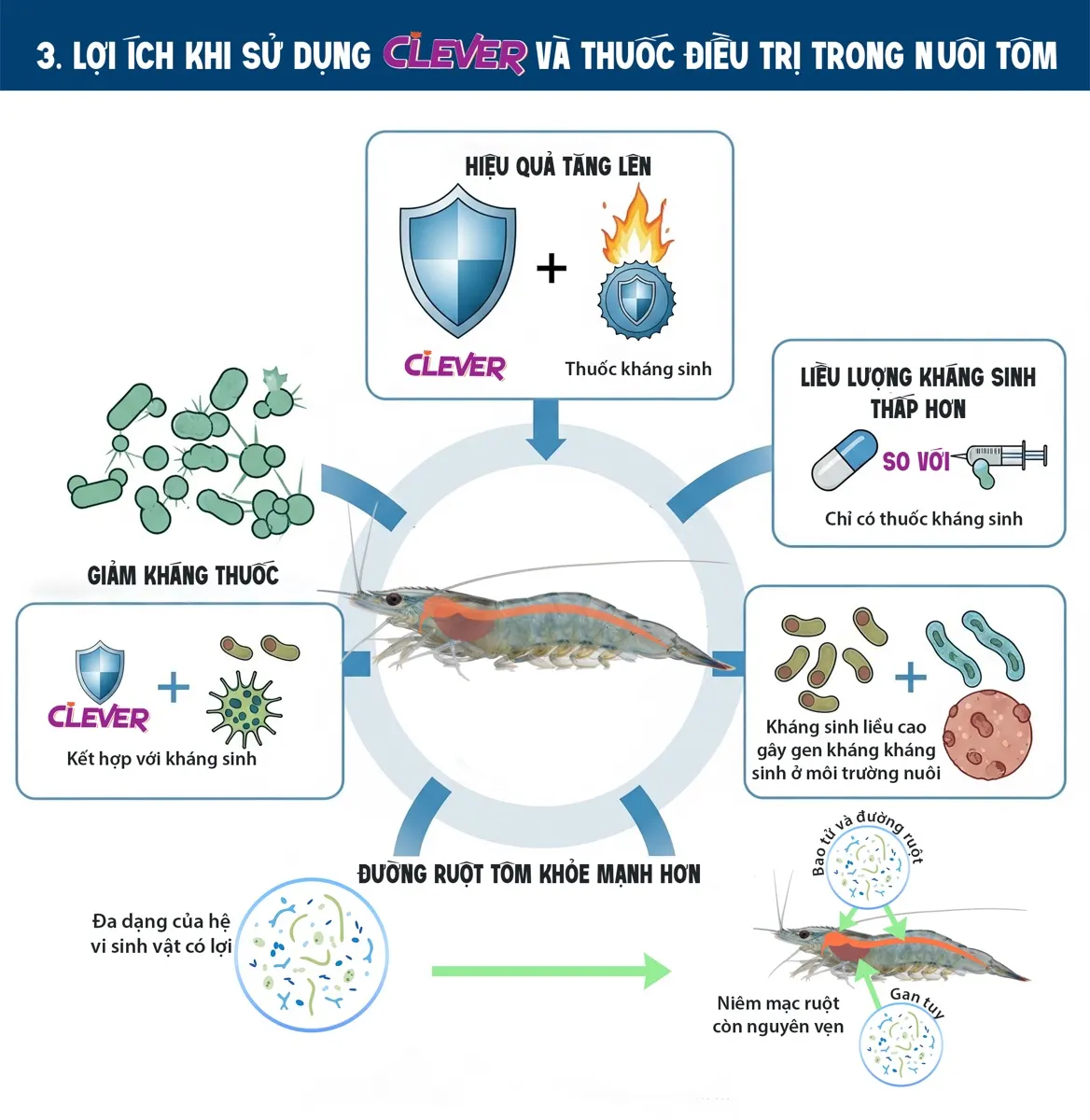 Five benefits of CLEVER + antibiotic combinations (page 3).