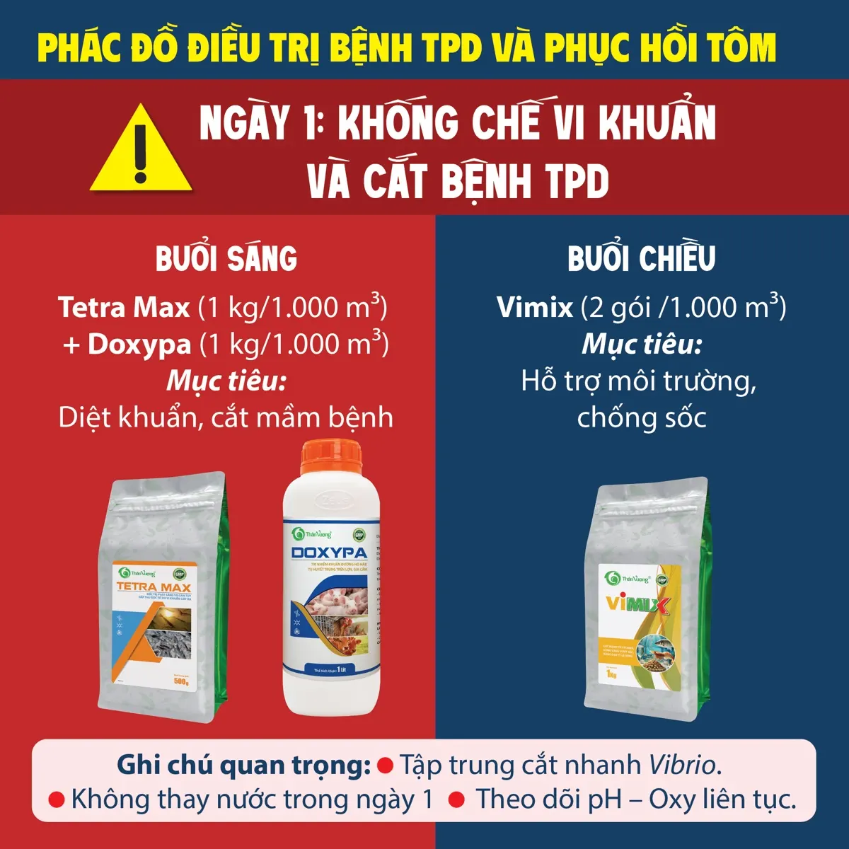 Phác đồ điều trị bệnh TPD & phục hồi tôm — không cần kháng sinh