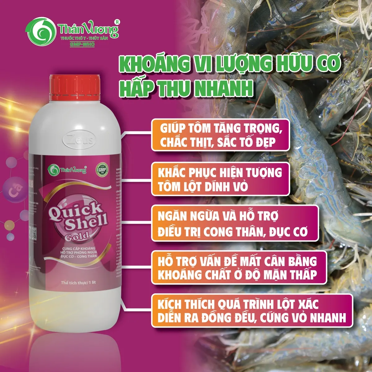 QUICKSHELL GOLD — khoáng nhanh hỗ trợ lột xác đều, cứng vỏ trong 24h