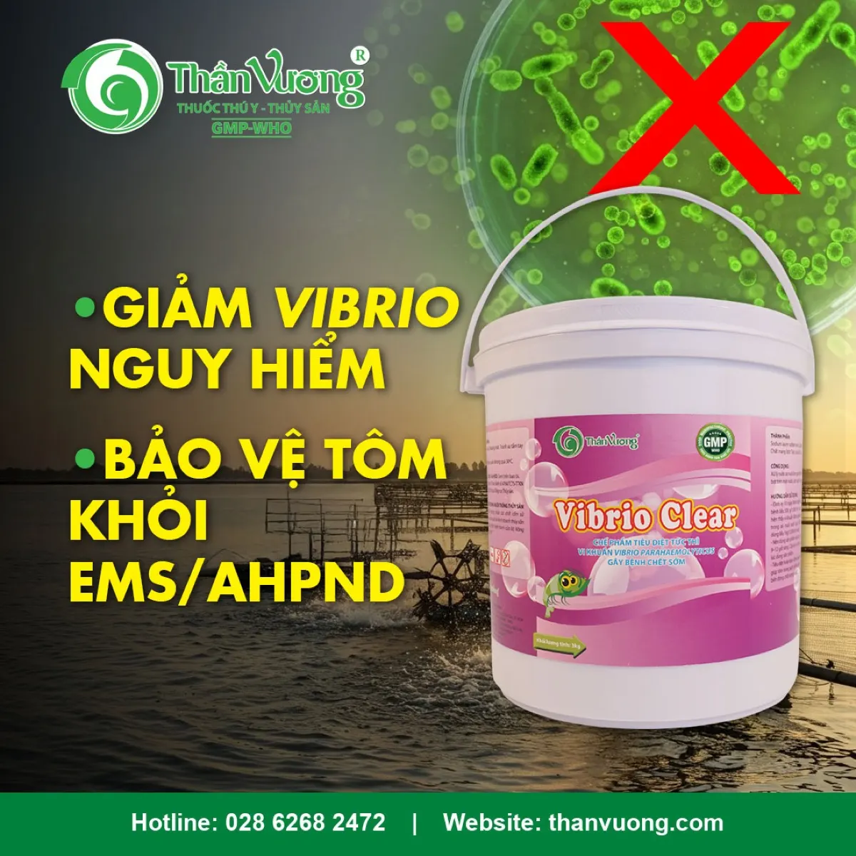 VIBRIO CLEAR — sát khuẩn nước đặc hiệu Vibrio cho ao tôm