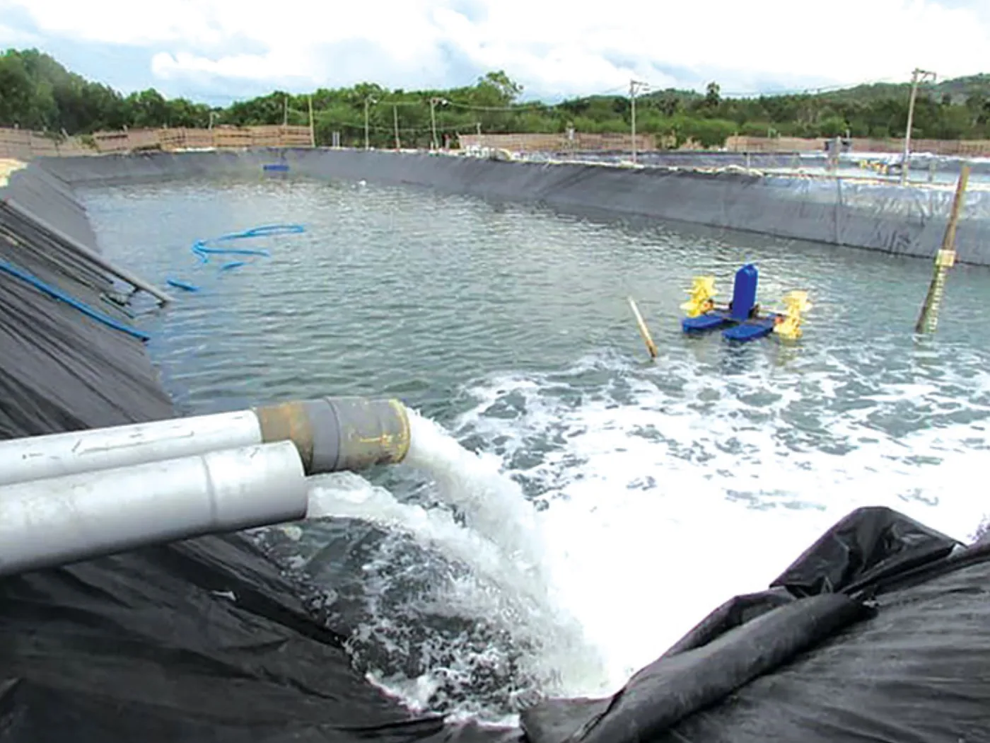Pond water intake