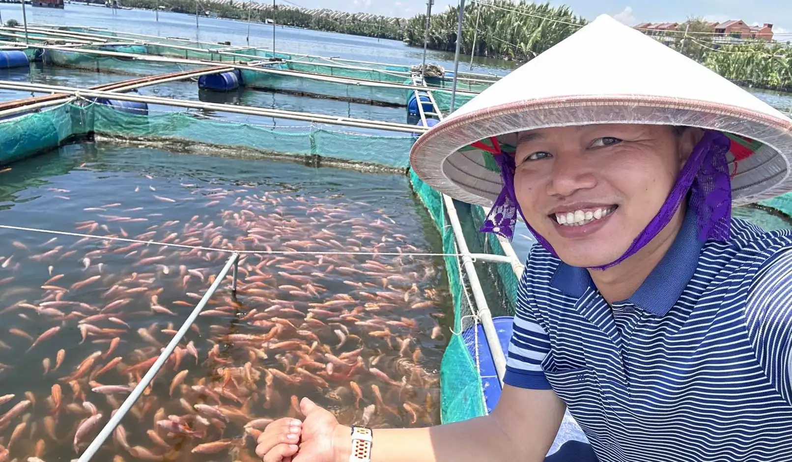 Scaled fish (tilapia, snakehead…)