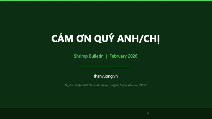 Thank you — Shrimp Bulletin Feb 2026