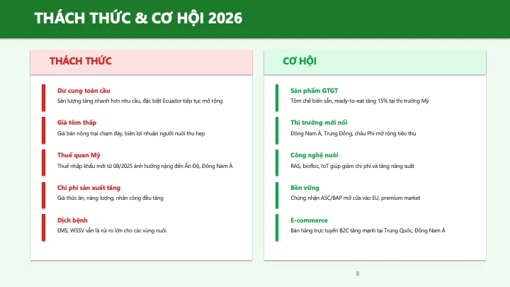 Challenges & Opportunities 2026