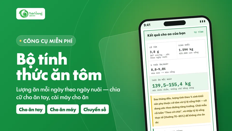 Bộ tính thức ăn tôm miễn phí của Thần Vương: lượng ăn mỗi ngày theo ngày nuôi, cho ăn tay và cho ăn máy