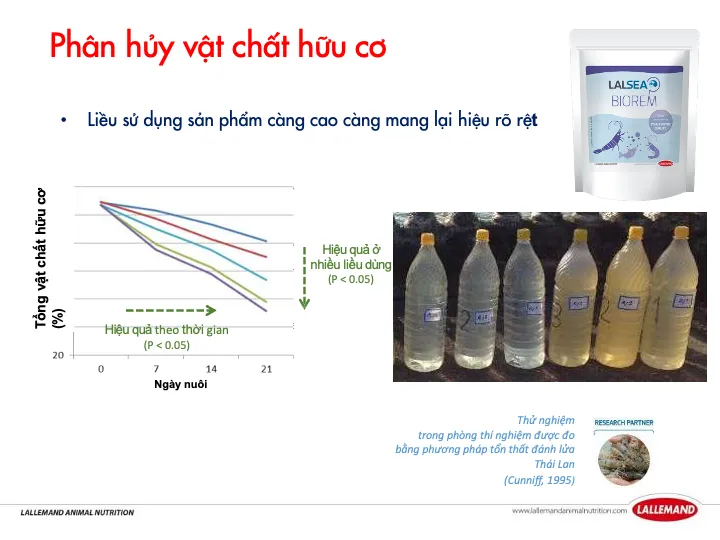 Giảm khí độc nhanh chóng