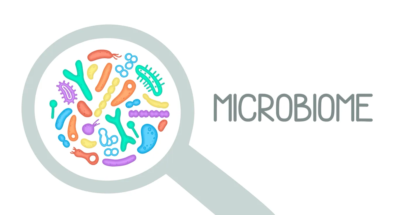 Minh hoạ hệ vi sinh vật (microbiome) dưới kính soi