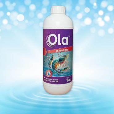 OLA DK Phổ Rộng