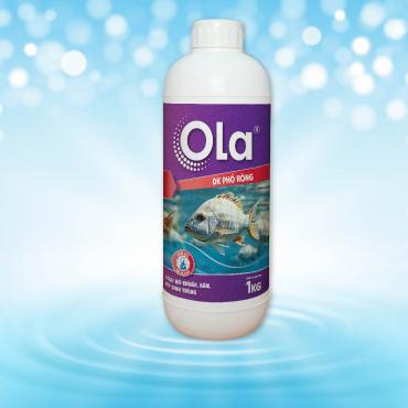 OLA DK Phổ Rộng