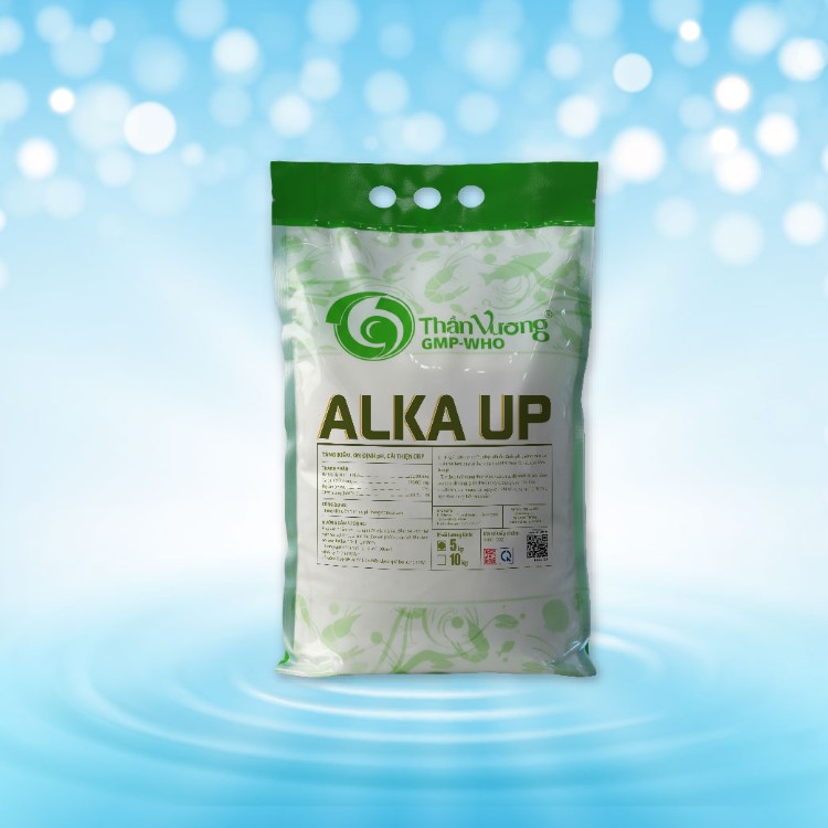 ALKA UP 2
