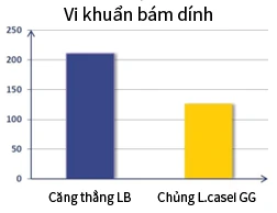 Biểu đồ cột: độ bám dính của chủng LB khoảng 205, chủng L. casei GG khoảng 125