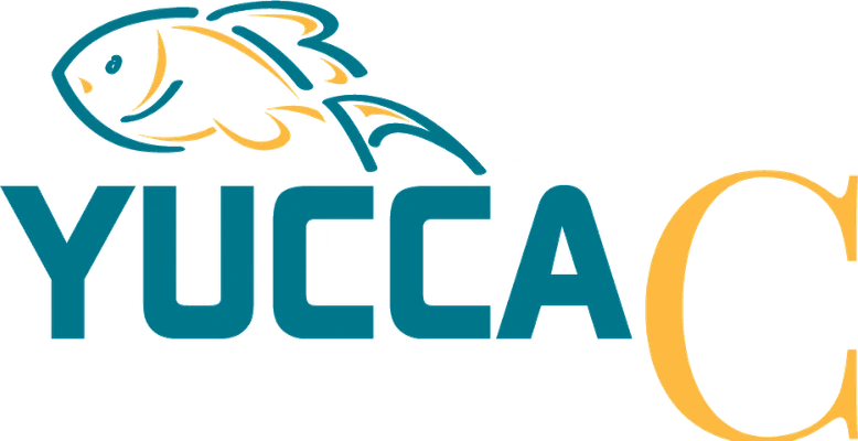 YUCCA C