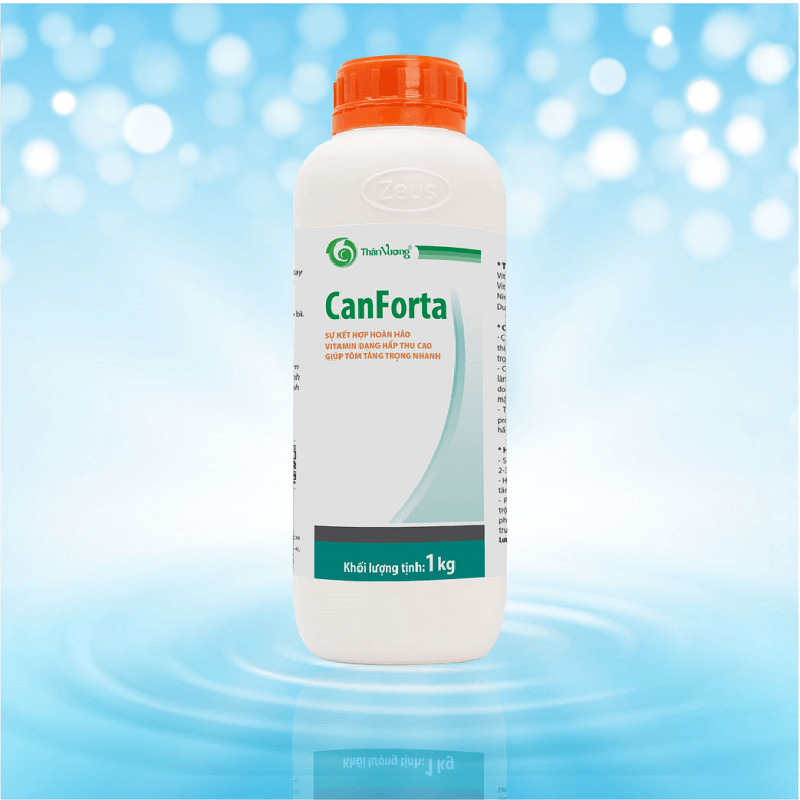 CANFORTA