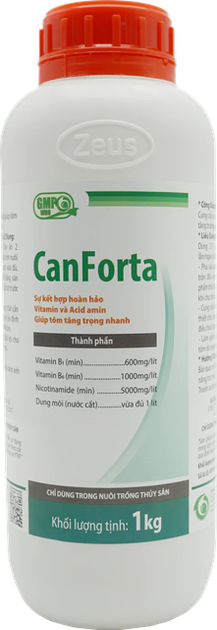 CANFORTA