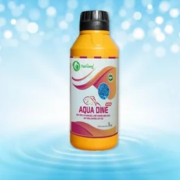 AQUA DINE