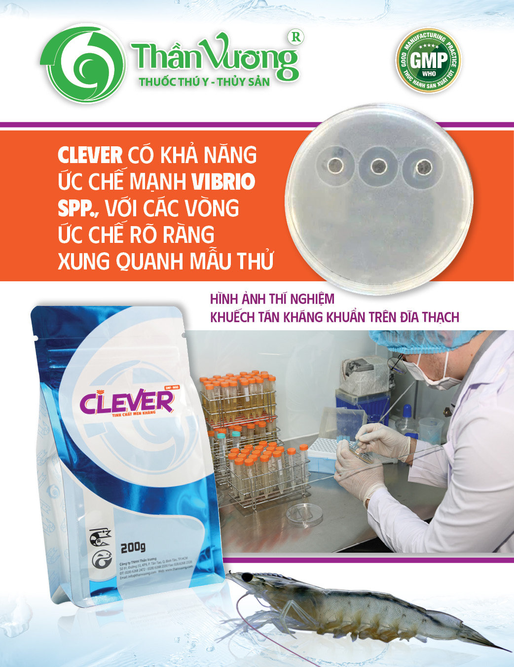 CLEVER 1