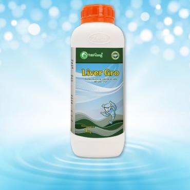 LIVER GRO