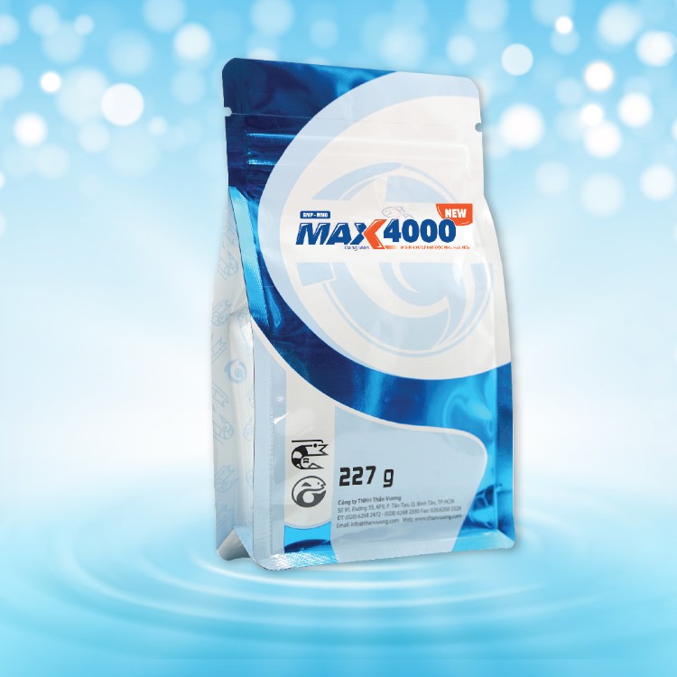 MAX 4000 2