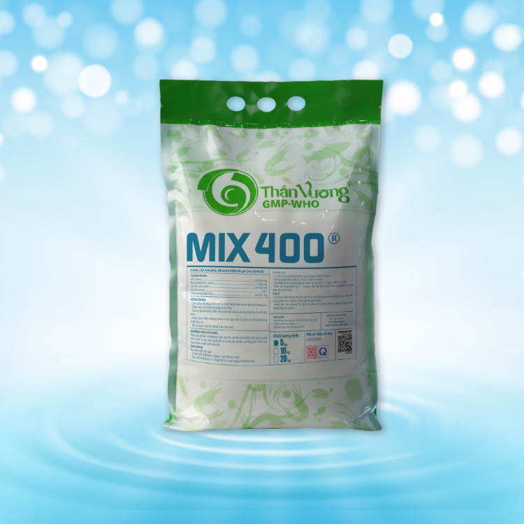 MIX 400 1