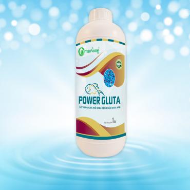 POWER GLUTA