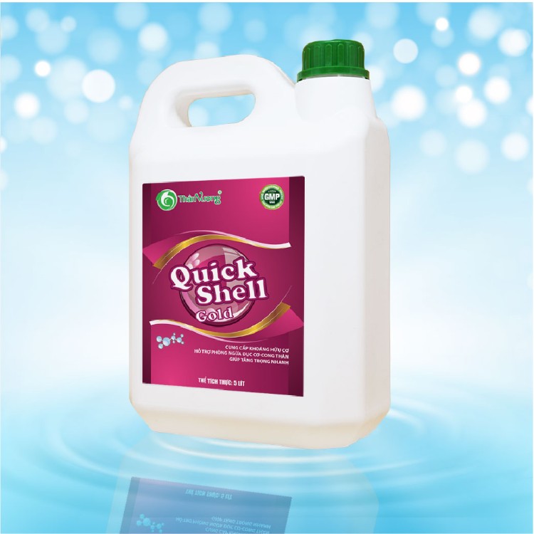 QUICKSHELL GOLD 2
