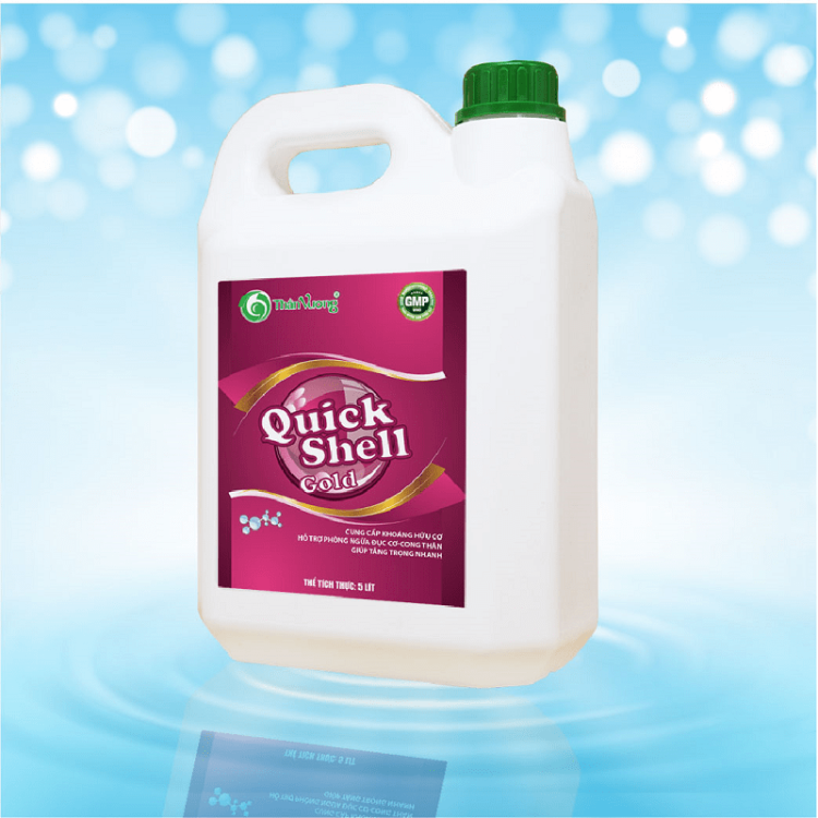 QUICKSHELL GOLD 2