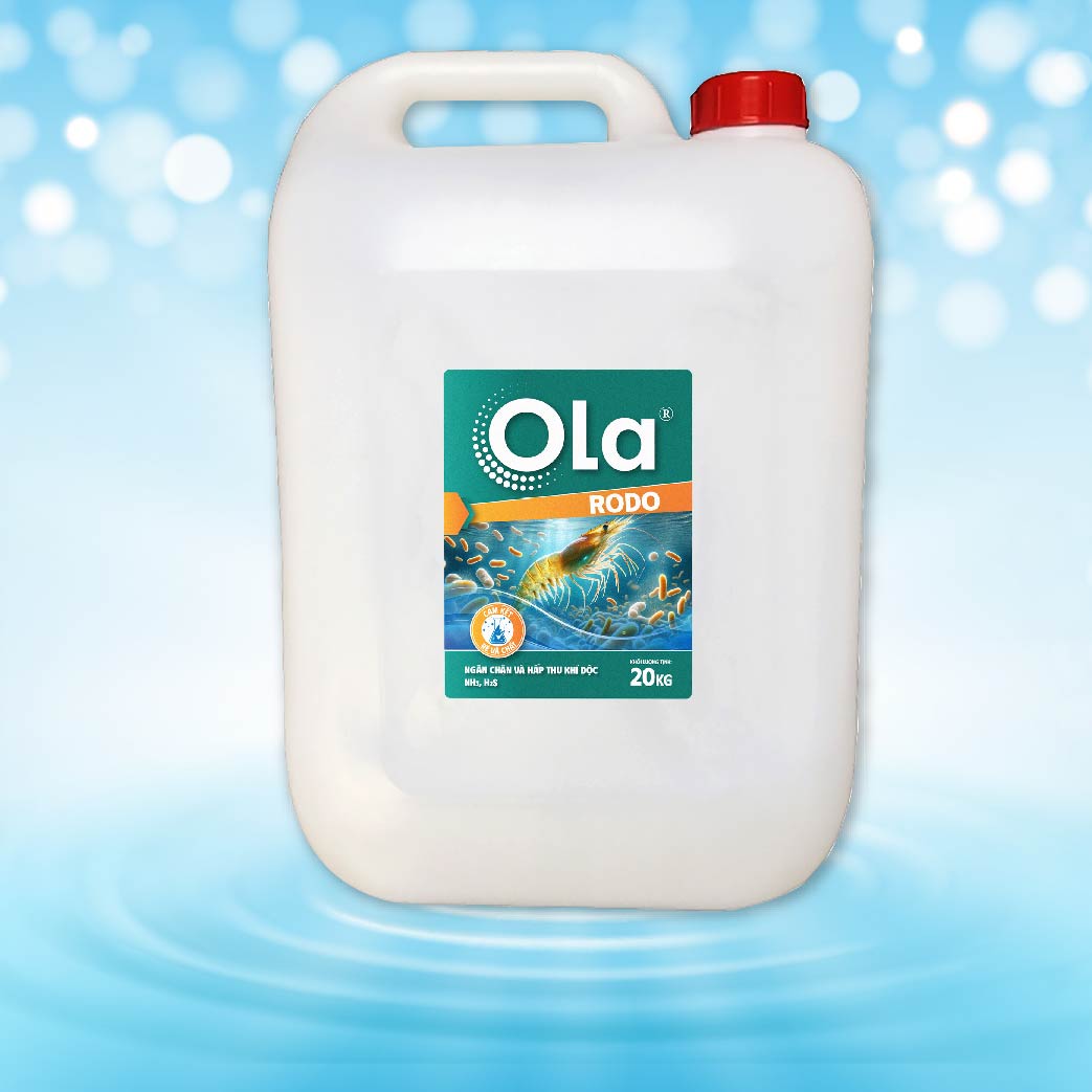 OLA RODO 1