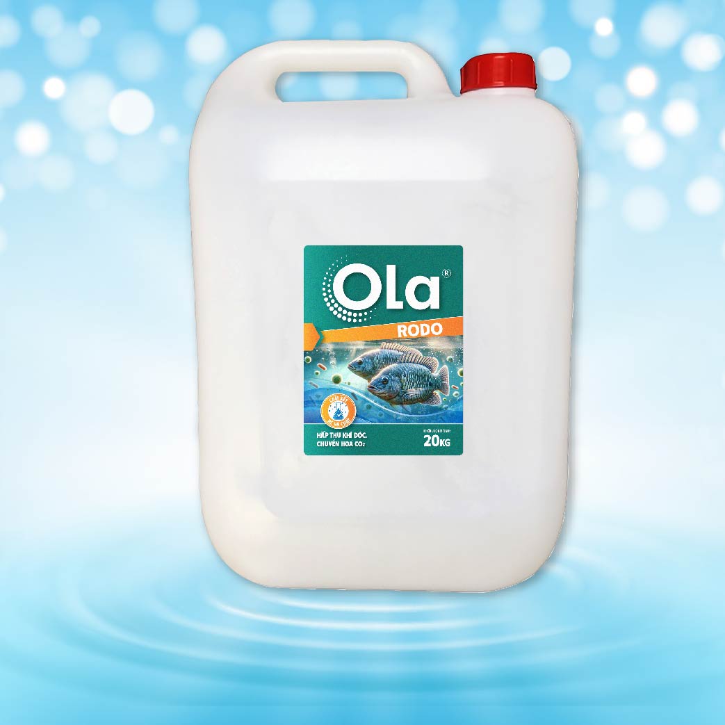 OLA RODO 1