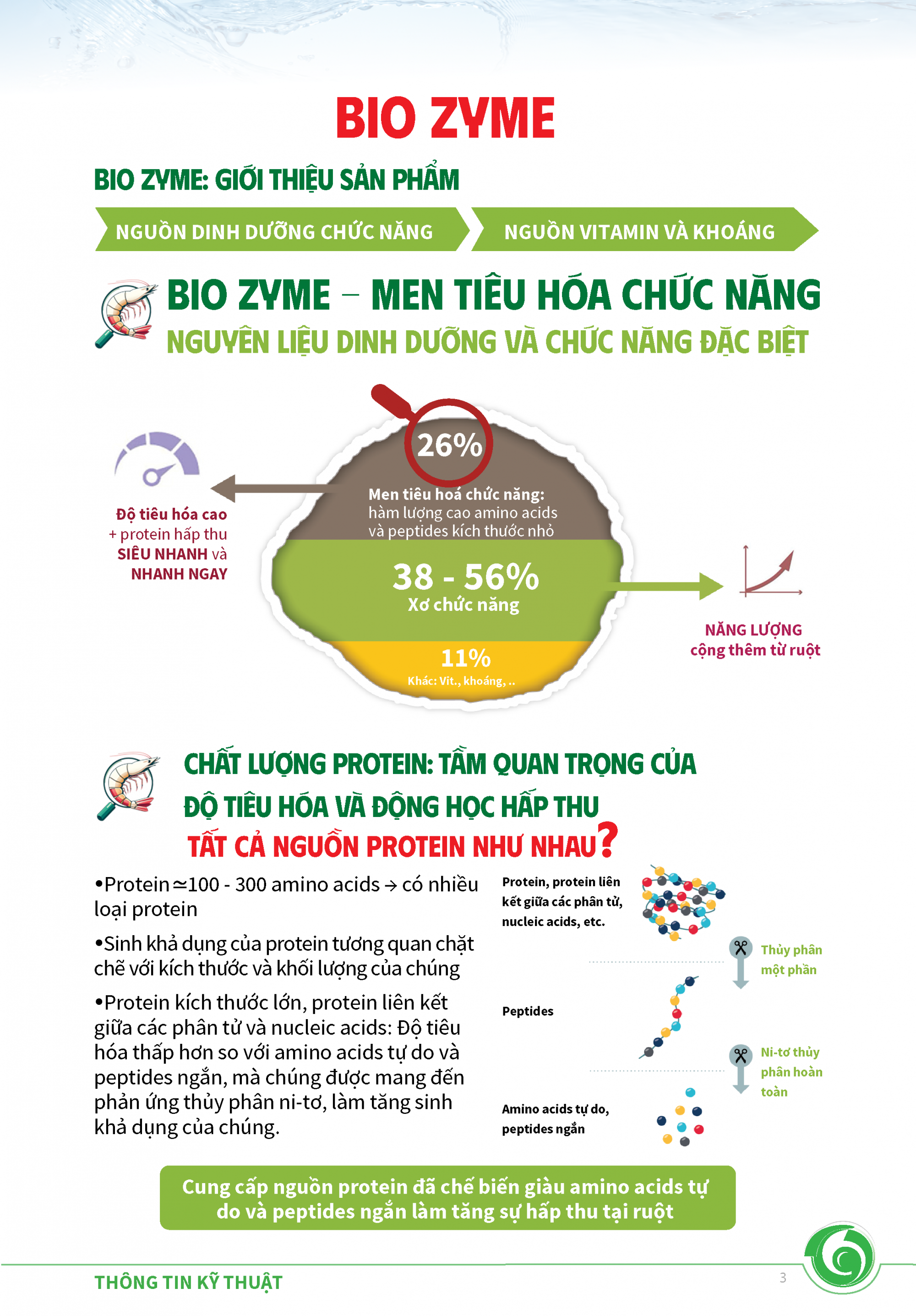 BIOZYME 3