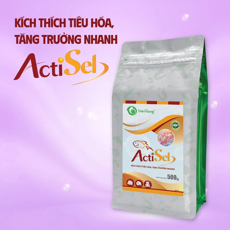 ACTISEL