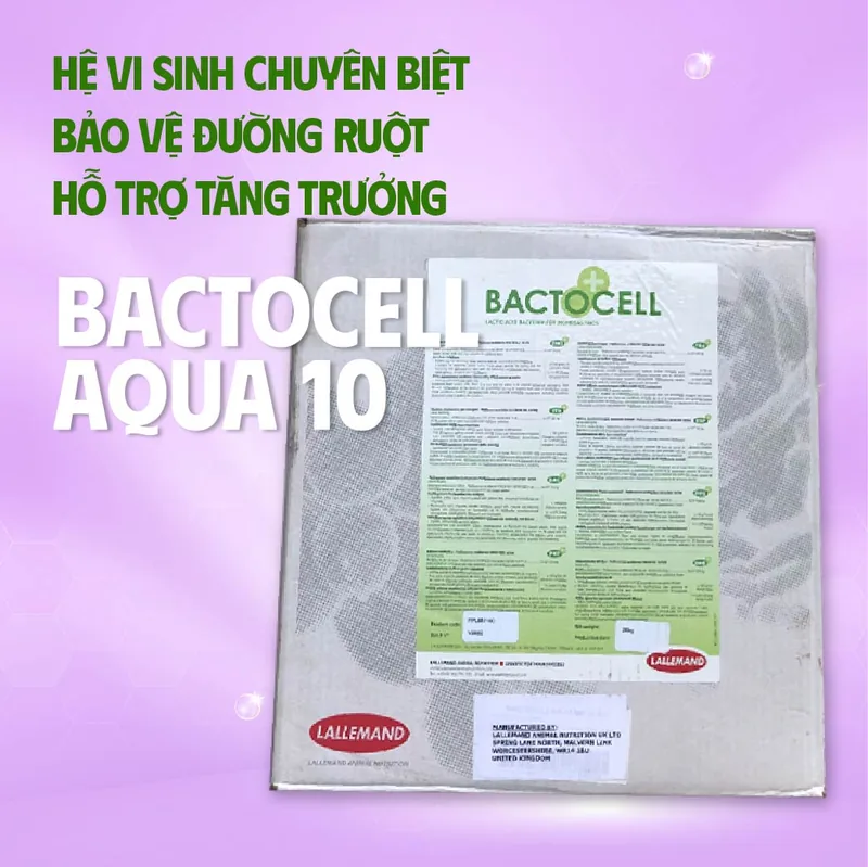 BACTOCELL AQUA 10 5