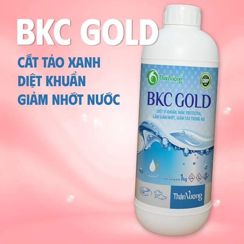 BKC GOLD 2