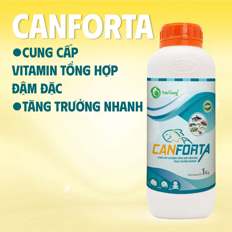 CANFORTA