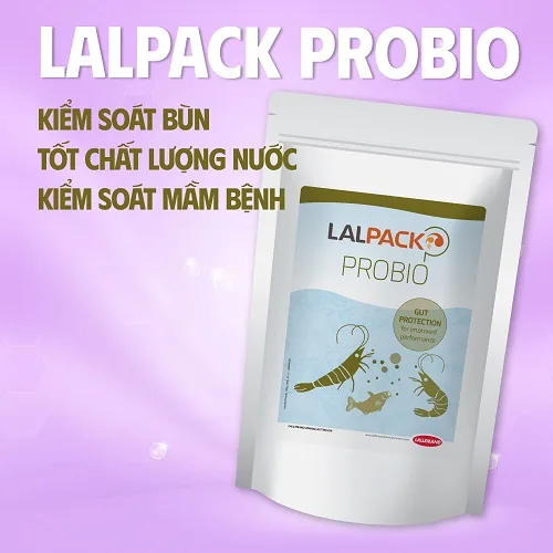 LALPACK PROBIO 2