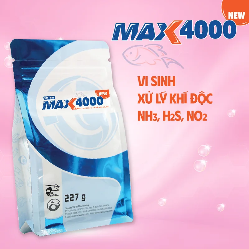 MAX 4000
