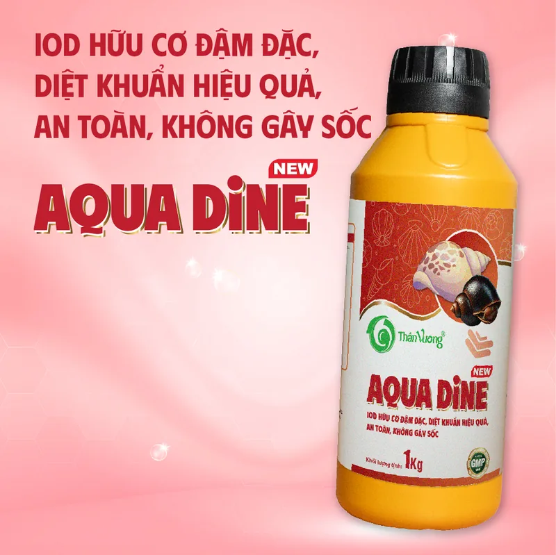 AQUA DINE 2