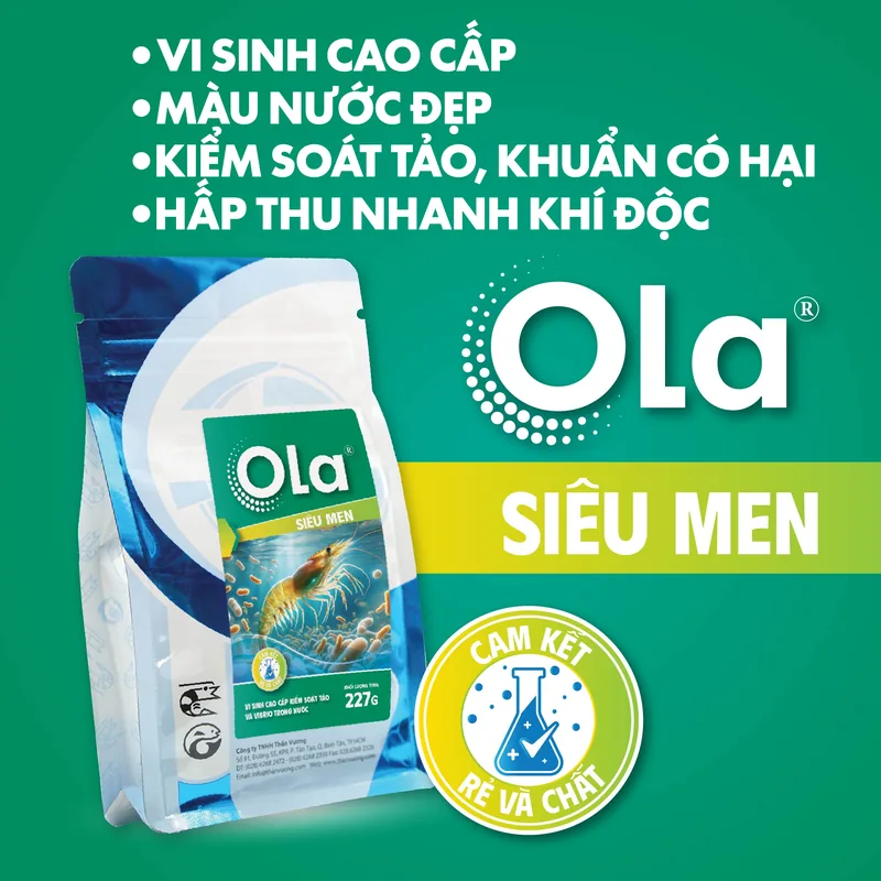OLA Siêu Men 2