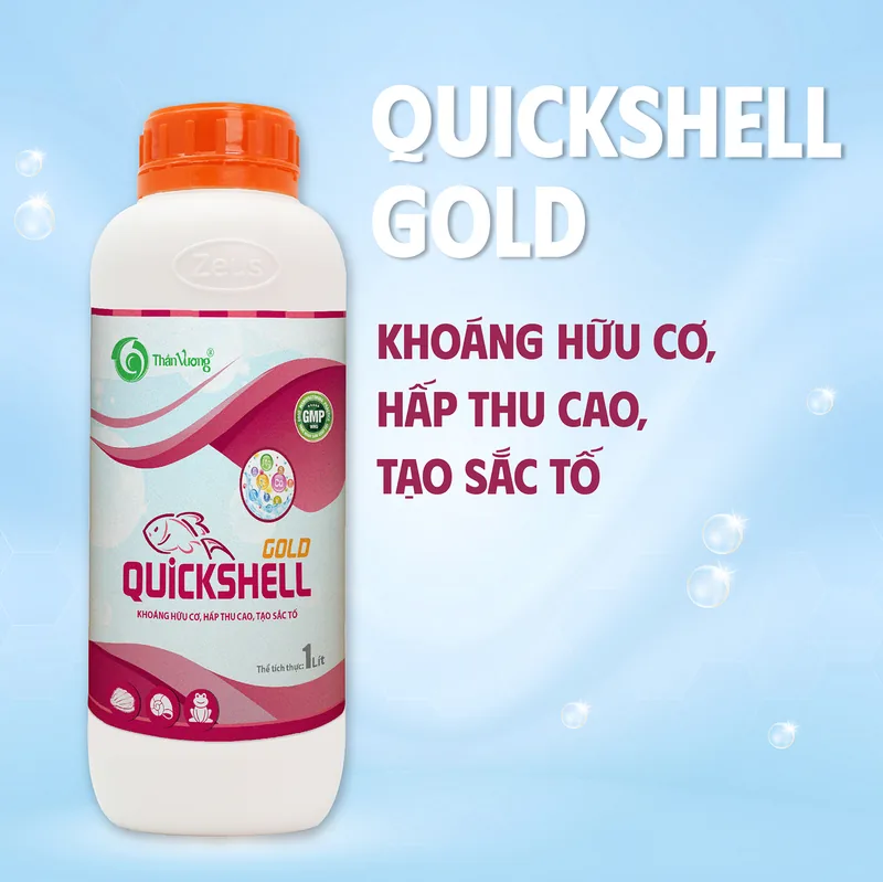 QUICKSHELL GOLD