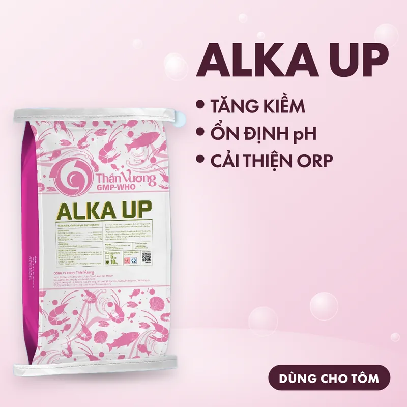 ALKA UP 3