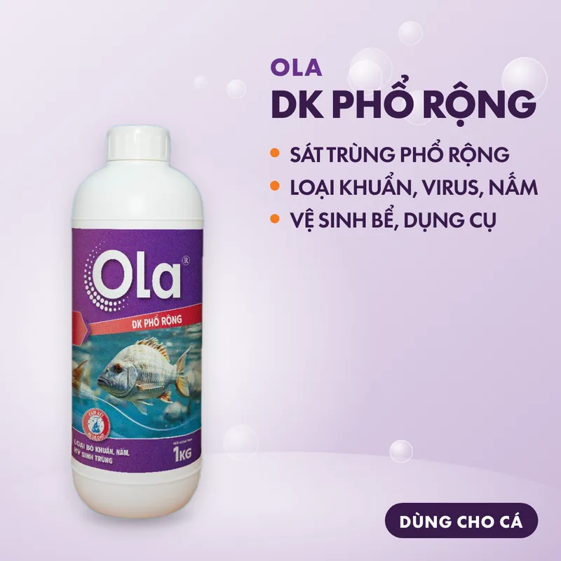 OLA DK Phổ Rộng 2