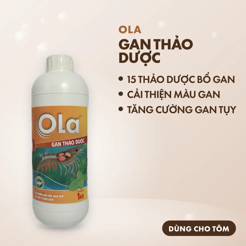 OLA Gan Thảo Dược 2