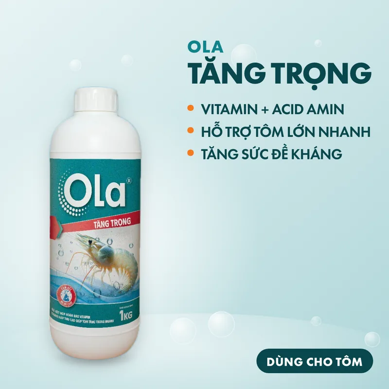 OLA Tăng Trọng 2
