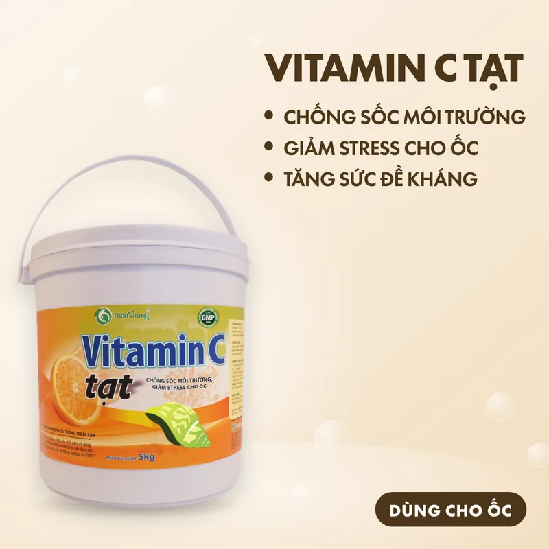 VITAMIN C TẠT 2